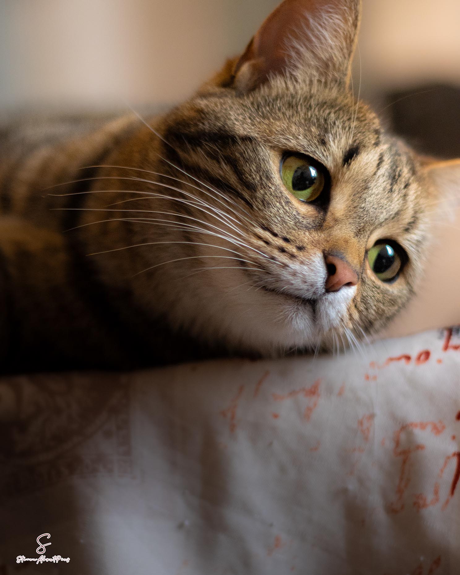 Louna